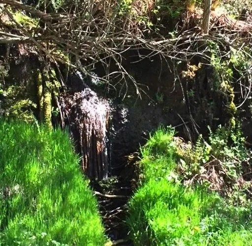 Havre De Paix Renove Avec Amour, Espace Yoga . * Jou-sous-Monjou