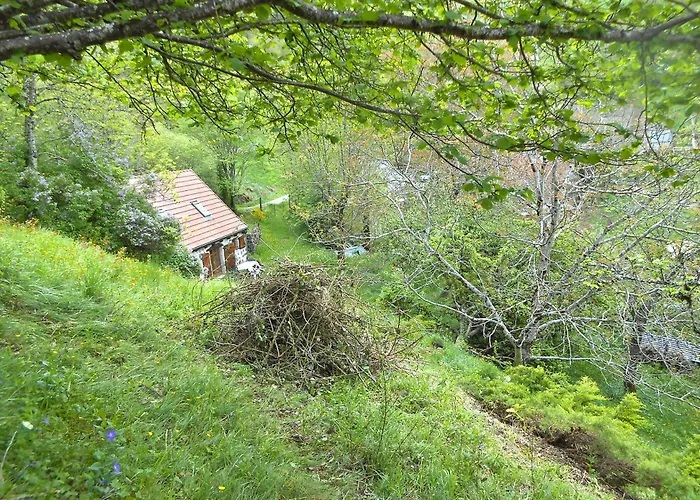 Havre De Paix Renove Avec Amour, Espace Yoga . * Jou-sous-Monjou